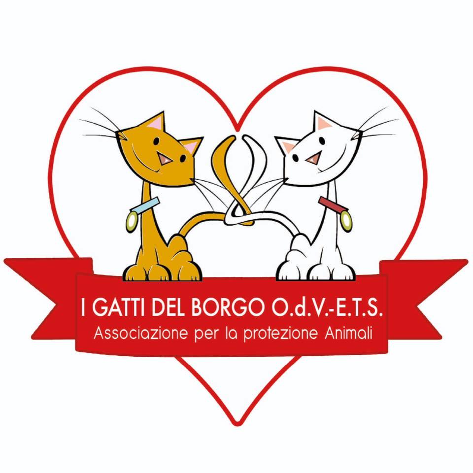 i gatti del borgo